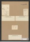 Actinoptychus sp. (de-Toni-Nr.: Genus 227) Zeichnungen Sammlung Grunow Nr. 9533 (NHMW-BOT-W0379526)